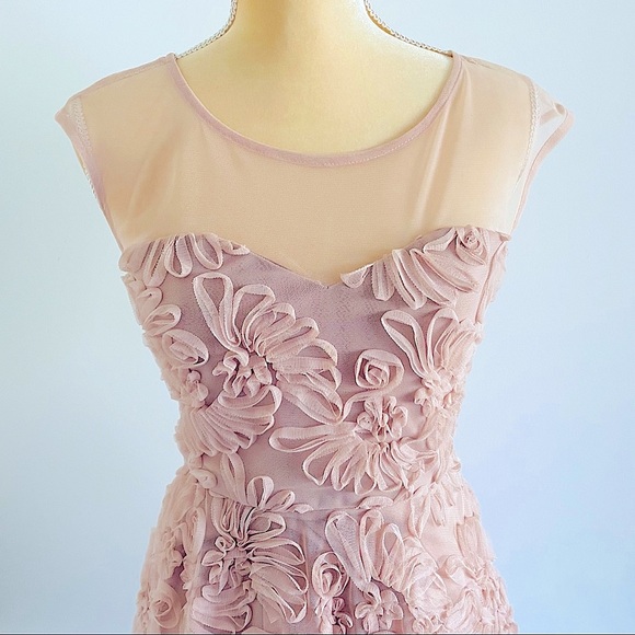 💕Fit and Flare Mesh Dress SZ S - Picture 7 of 15